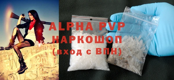 спиды Богородицк
