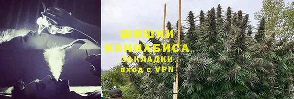 МДПВ Каменногорск