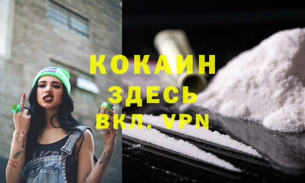 спиды Богородицк