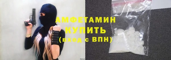 спиды Богородицк