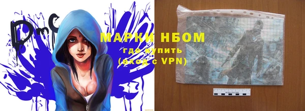 спиды Богородицк
