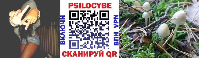 Псилоцибиновые грибы мицелий  Киренск 